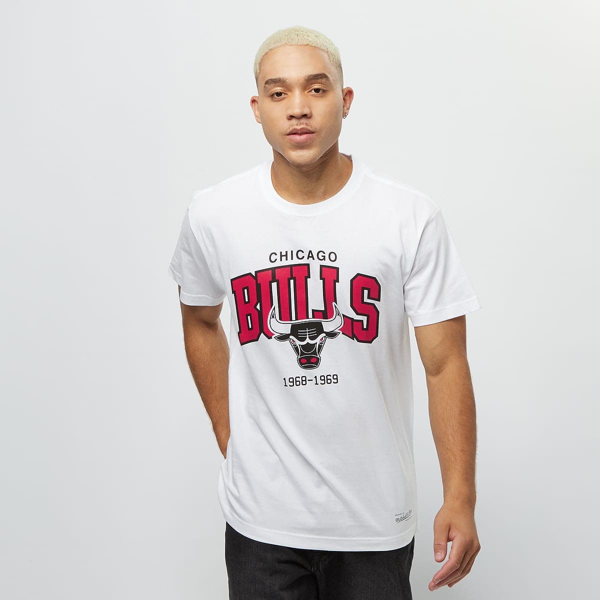 NBA Chicago Bulls Team Arch 