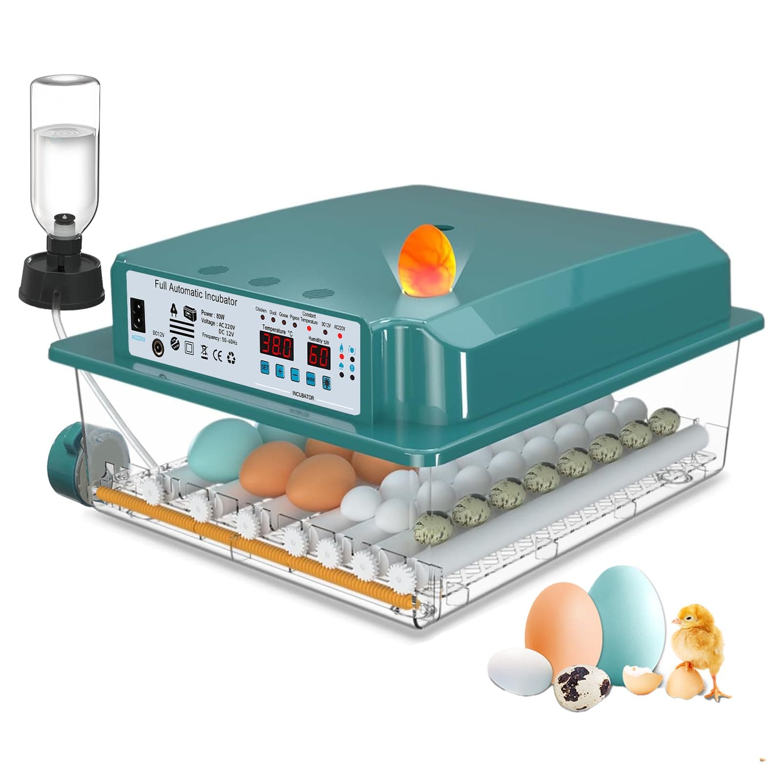 CoInceptus Incubadora Huevos Gallina, Incubadora de 24-36 Huevos con Volteo Automático de Huevos y Adición Automática de Agua, Incubadora con 4 Modos de Incubación Automáticos