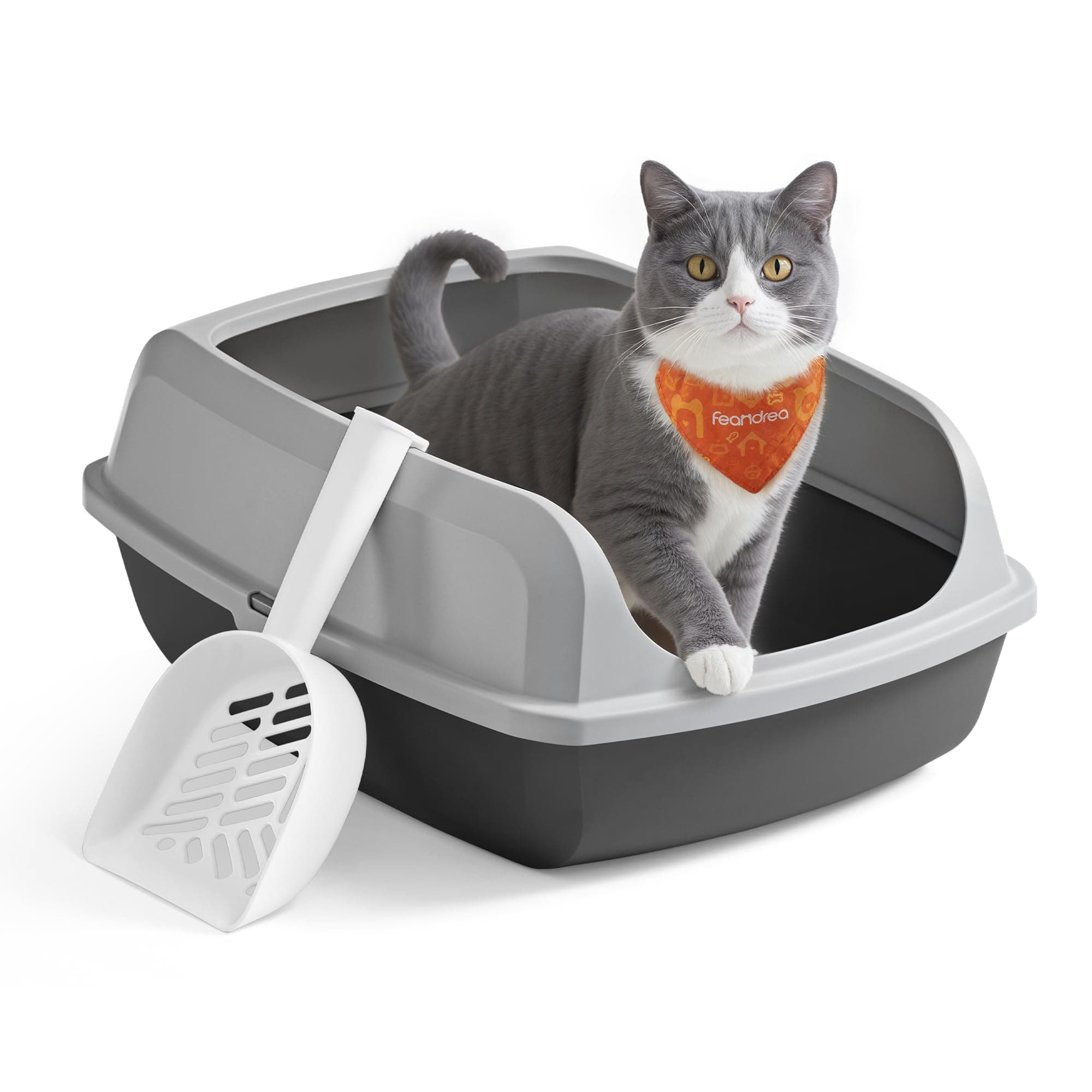 Feandrea Vassoio Lettiera per Gatti con Bordi Alti, XL, Aperto con Paletta, per Gattini e Gatti Grandi, Grigio Ardesia PPT009GN01