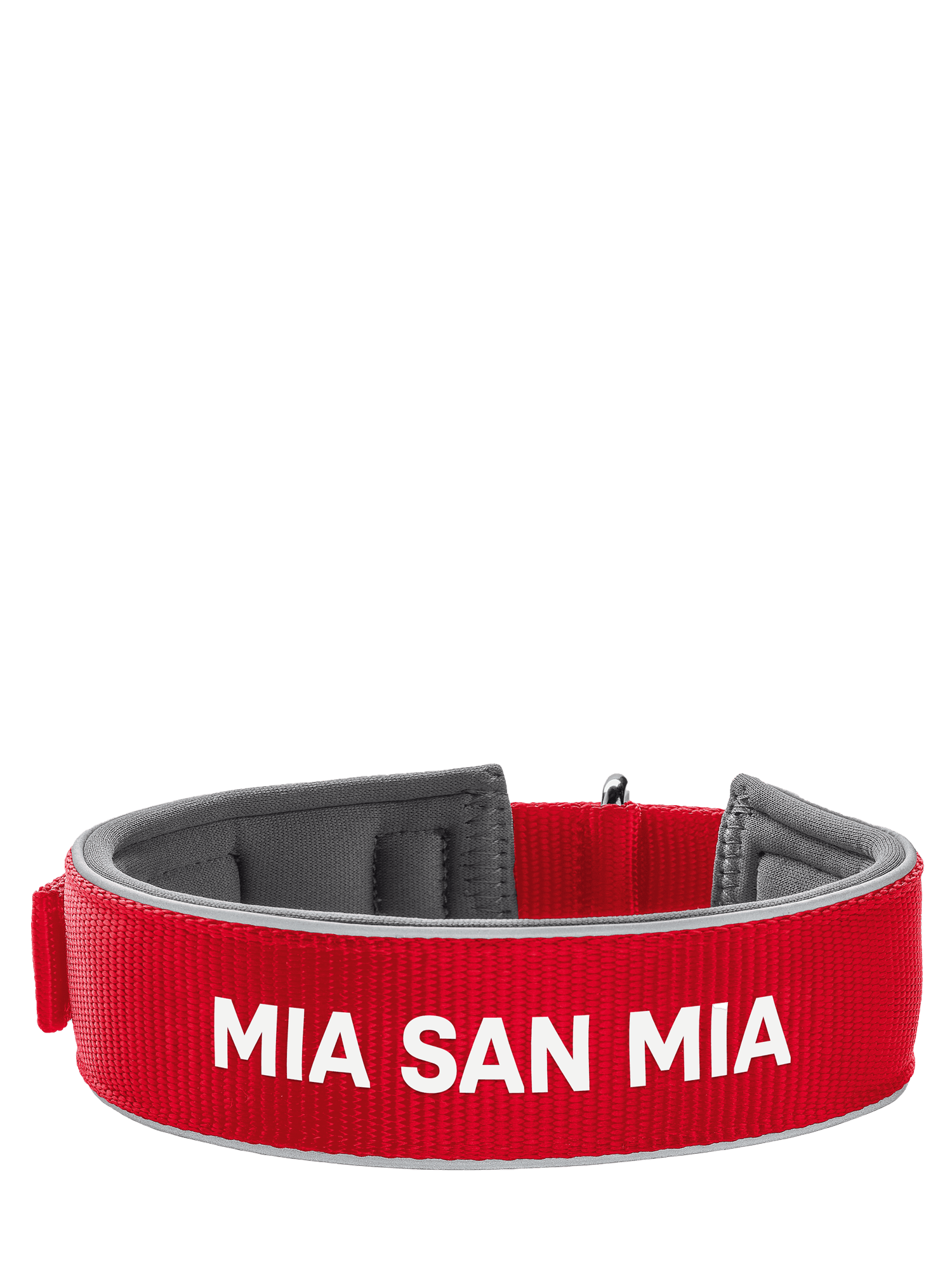 Hundehalsband Neopren