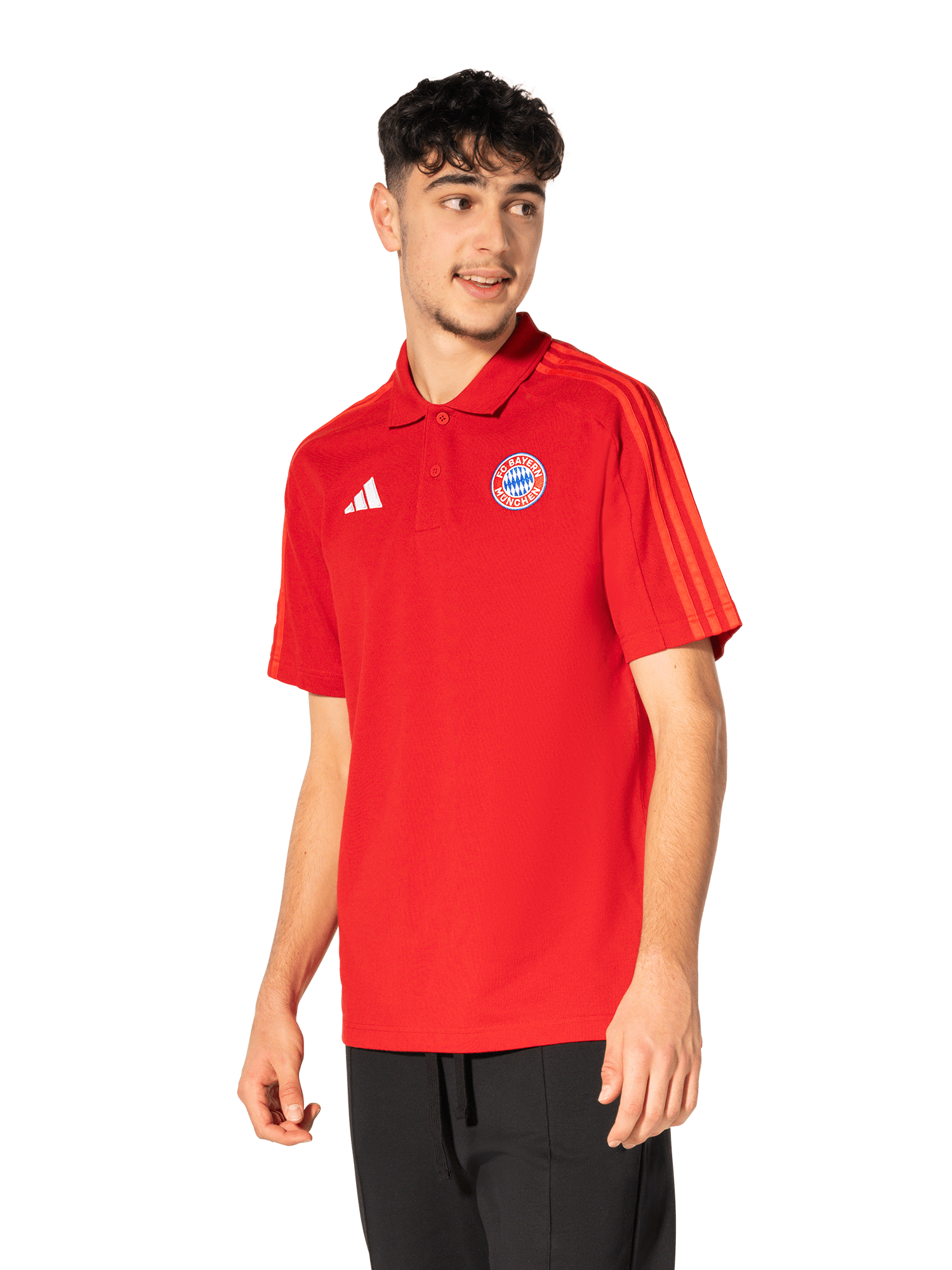 Polo DNA
