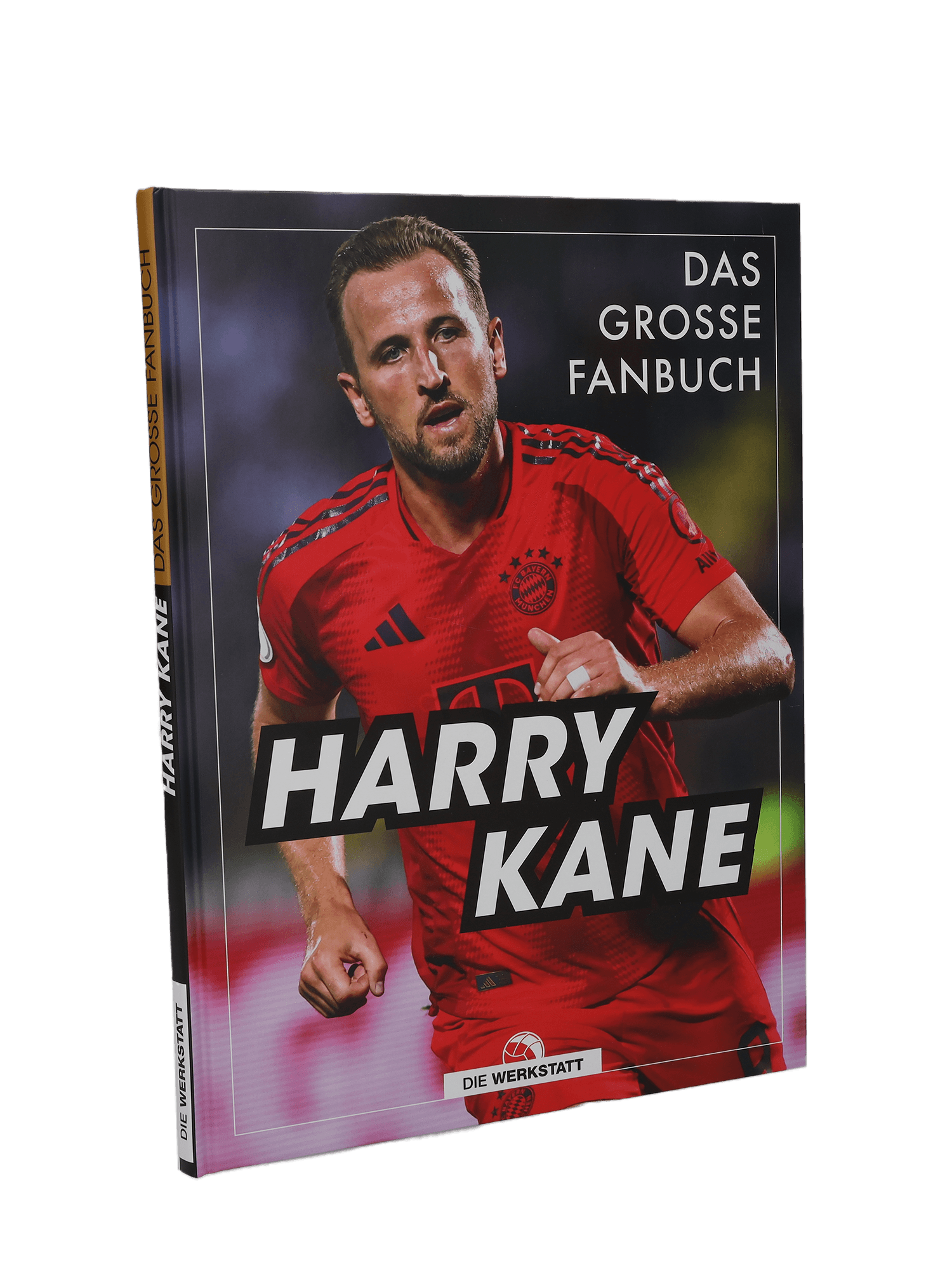 Harry Kane - Das große Fanbuch