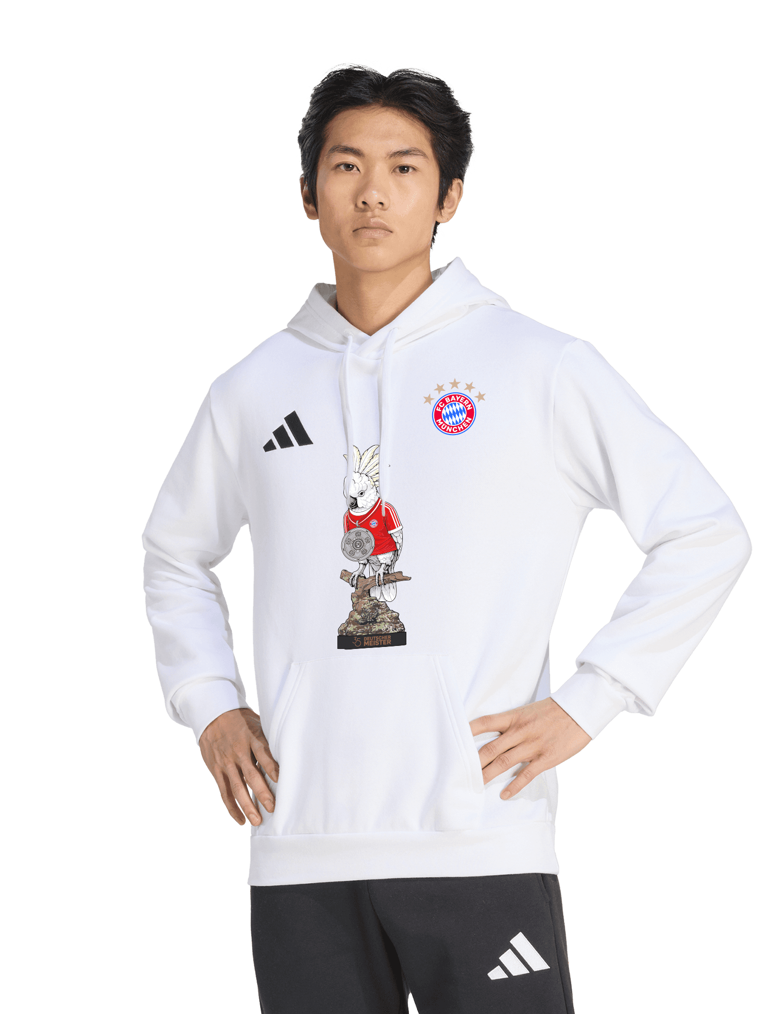 Hoodie Meister 2026