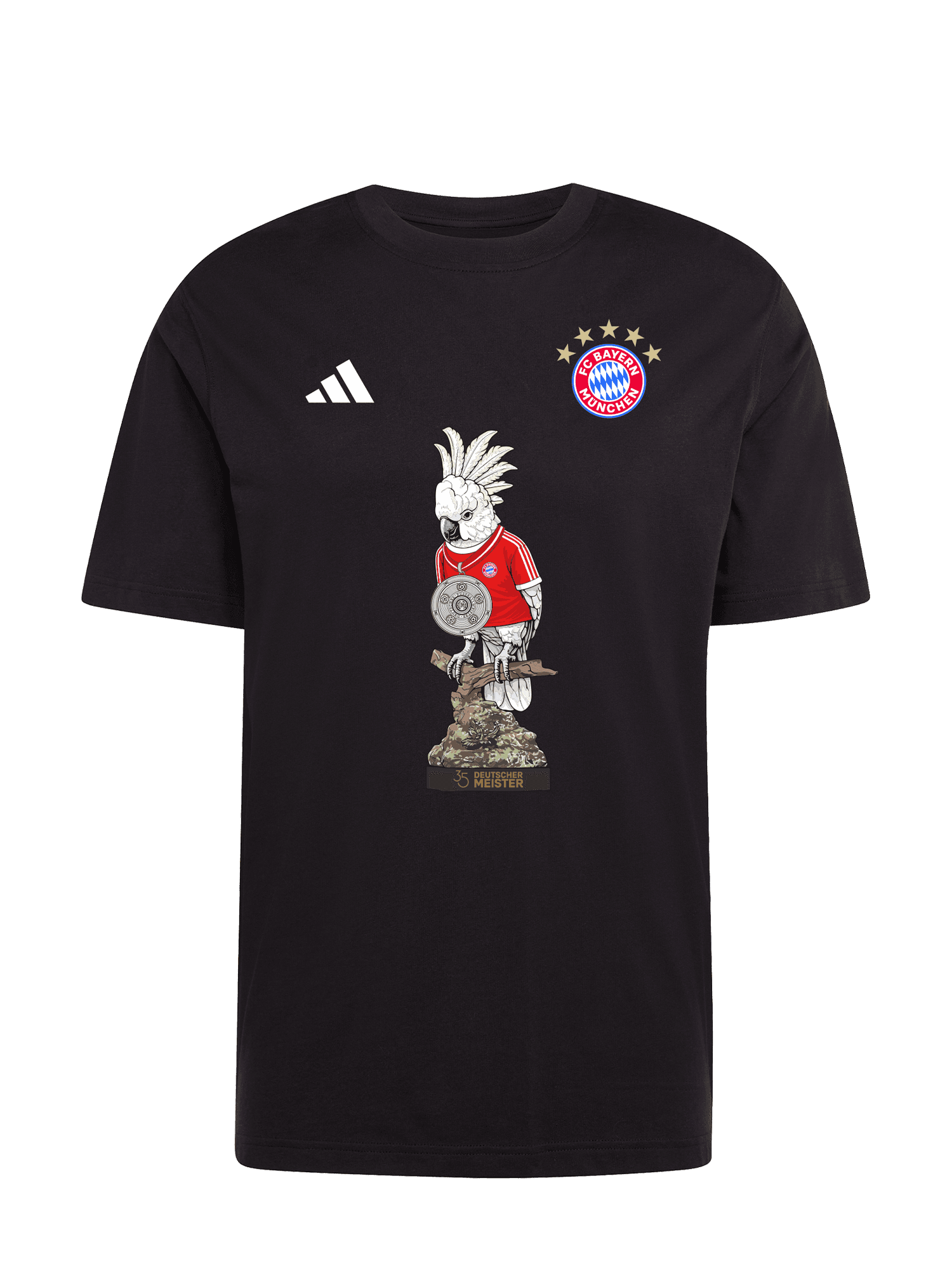 T-Shirt Meister 2026
