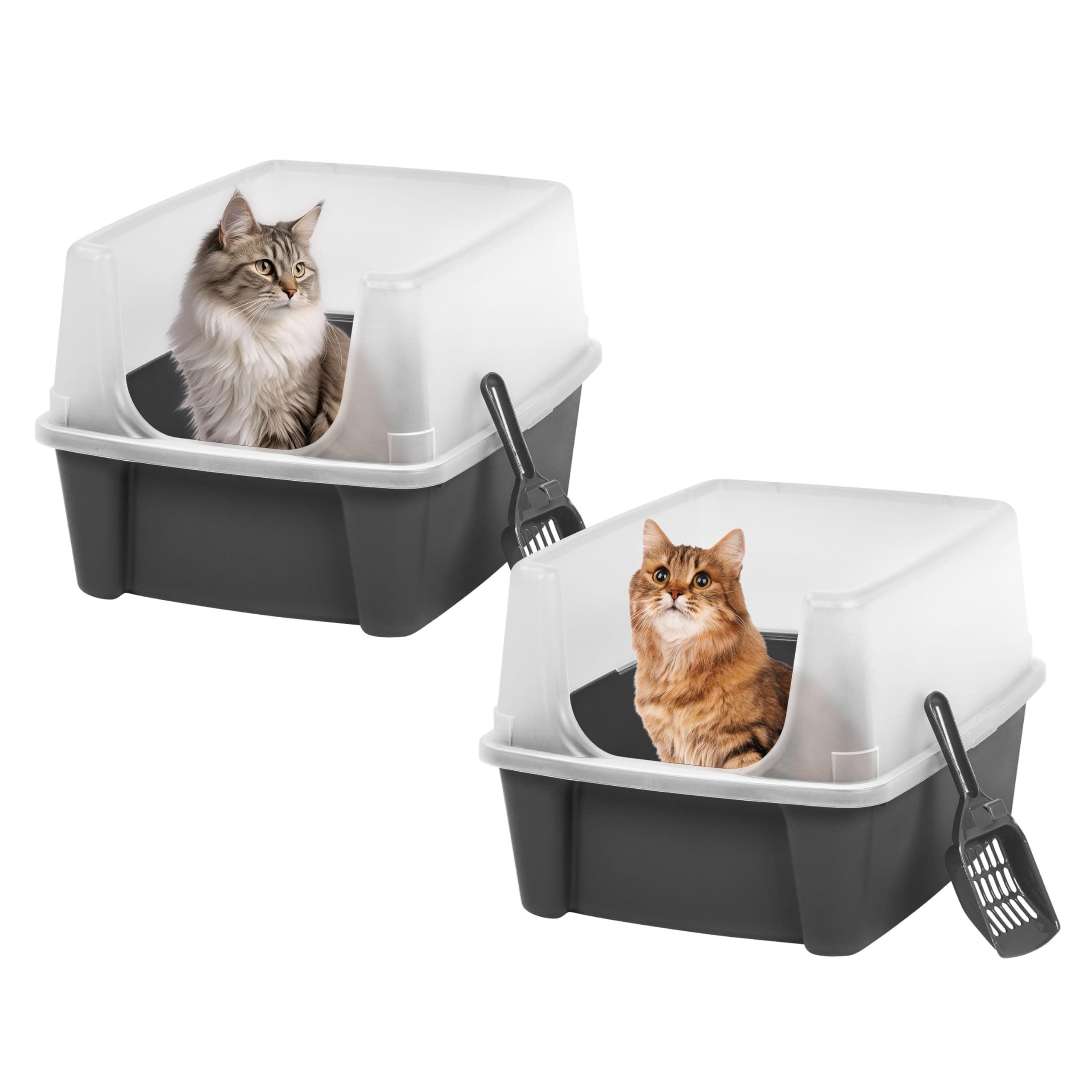 Iris Ohyama Katzenklo offen, bis 7 kg, 2er-Satz, Grau, ohne Deckel, Katzentoilette, hoher Abnehmbarer Rand, Für große Katzen, Kätzchen, Toilet, XXL Toilette, BPA-frei, Cat Litter Box, CLH-12