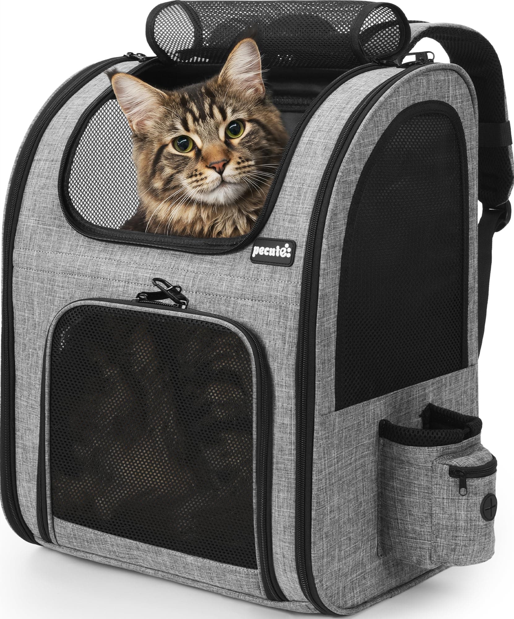 Pecute Mochila Gato XL >6kg-<8kg portátil y Ligera para Mascotas de con Ventana de Malla, Transportin Gato Plegable y Transpirable para Mascotas, Tejido Oxford Impermeable con Gran Espacio